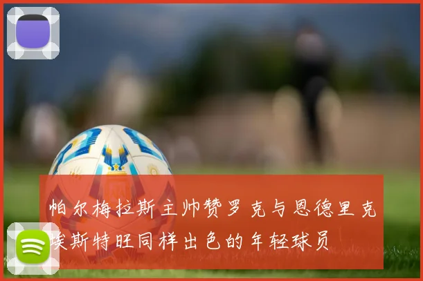 帕尔梅拉斯主帅赞罗克与恩德里克埃斯特旺同样出色的年轻球员