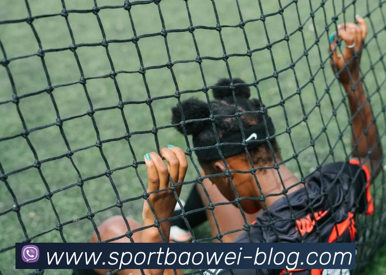 宝威体育APP 封面图